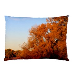 Beautiful Autumn Day Pillow Cases (two Sides)