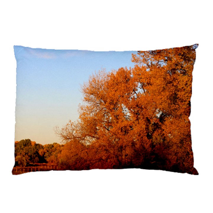 BEAUTIFUL AUTUMN DAY Pillow Cases (Two Sides)