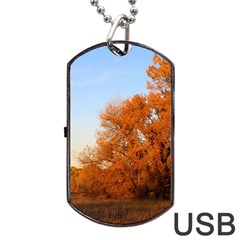 Beautiful Autumn Day Dog Tag Usb Flash (two Sides) 