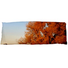 Beautiful Autumn Day Body Pillow Cases (dakimakura)  by trendistuff