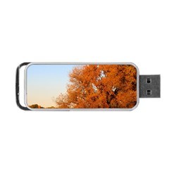 Beautiful Autumn Day Portable Usb Flash (two Sides)