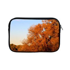 Beautiful Autumn Day Apple Ipad Mini Zipper Cases