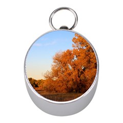 Beautiful Autumn Day Mini Silver Compasses