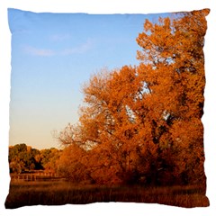 Beautiful Autumn Day Standard Flano Cushion Cases (one Side) 