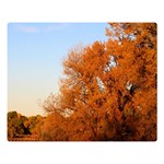 BEAUTIFUL AUTUMN DAY Double Sided Flano Blanket (Large)  Blanket Back