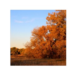 Beautiful Autumn Day Small Satin Scarf (square) 