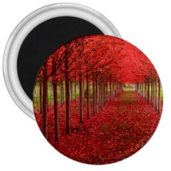 Avenue Of Trees 3  Magnets by trendistuff