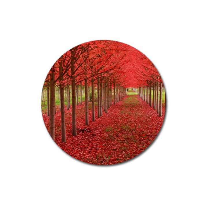 AVENUE OF TREES Magnet 3  (Round)