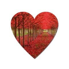 Avenue Of Trees Heart Magnet by trendistuff