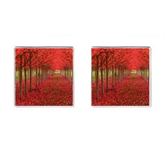 Avenue Of Trees Cufflinks (square) by trendistuff