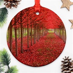 Avenue Of Trees Round Ornament (two Sides)  by trendistuff