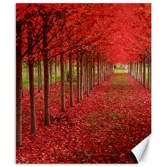 Avenue Of Trees Canvas 8  X 10  by trendistuff