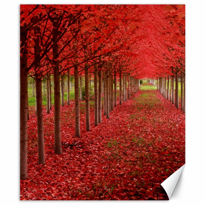 AVENUE OF TREES Canvas 8  x 10 