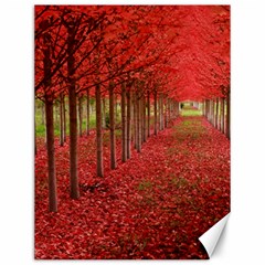 Avenue Of Trees Canvas 12  X 16   by trendistuff