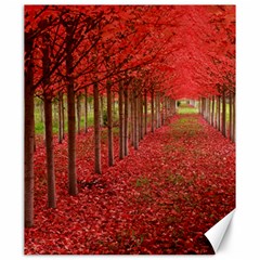 Avenue Of Trees Canvas 20  X 24  