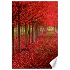 Avenue Of Trees Canvas 20  X 30  