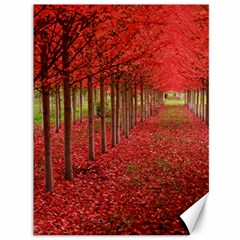 Avenue Of Trees Canvas 36  X 48   by trendistuff