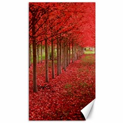 Avenue Of Trees Canvas 40  X 72   by trendistuff