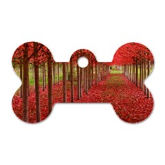 Avenue Of Trees Dog Tag Bone (two Sides) by trendistuff