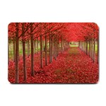 AVENUE OF TREES Small Doormat  24 x16  Door Mat