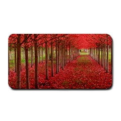 Avenue Of Trees Medium Bar Mats