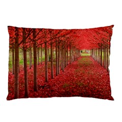 Avenue Of Trees Pillow Cases