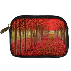 Avenue Of Trees Digital Camera Cases by trendistuff