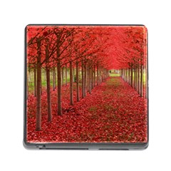 Avenue Of Trees Memory Card Reader (square) by trendistuff