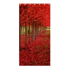 Avenue Of Trees Shower Curtain 36  X 72  (stall) 