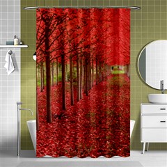 Avenue Of Trees Shower Curtain 48  X 72  (small) 