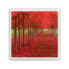 Avenue Of Trees Memory Card Reader (square) 