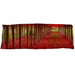 Avenue Of Trees Body Pillow Cases (dakimakura) 