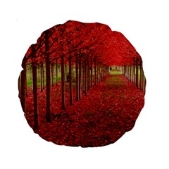 Avenue Of Trees Standard 15  Premium Round Cushions by trendistuff