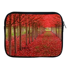 Avenue Of Trees Apple Ipad 2/3/4 Zipper Cases by trendistuff