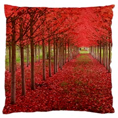 Avenue Of Trees Large Flano Cushion Cases (two Sides) 