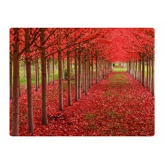 Avenue Of Trees Double Sided Flano Blanket (mini) 