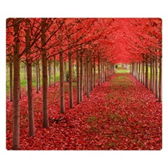 Avenue Of Trees Double Sided Flano Blanket (small) 