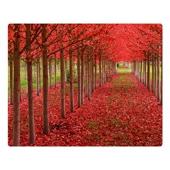 Avenue Of Trees Double Sided Flano Blanket (large) 