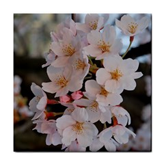 Sakura Tile Coasters