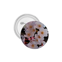 Sakura 1 75  Buttons by trendistuff