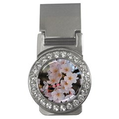 Sakura Money Clips (cz)  by trendistuff