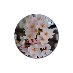 Sakura Magnet 3  (round) by trendistuff