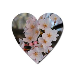 Sakura Heart Magnet by trendistuff