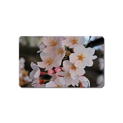 Sakura Magnet (name Card) by trendistuff