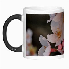 Sakura Morph Mugs