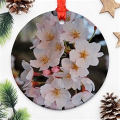 Sakura Round Ornament (two Sides)  by trendistuff