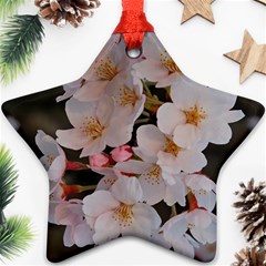 Sakura Star Ornament (two Sides)  by trendistuff