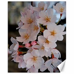 Sakura Canvas 16  X 20   by trendistuff