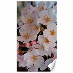 Sakura Canvas 40  X 72   by trendistuff