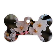 Sakura Dog Tag Bone (one Side)